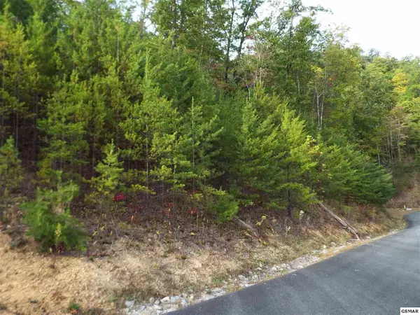 Sevierville, TN 37862,Lot 181E Jones Creek LN