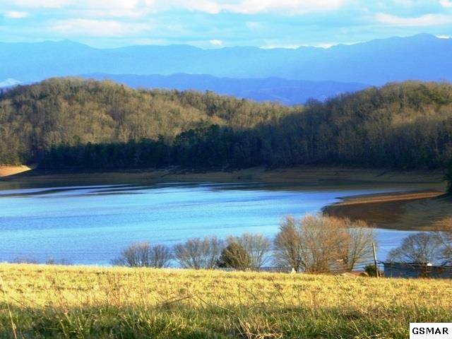 Dandridge, TN 37725,319 Eagle Claw LN