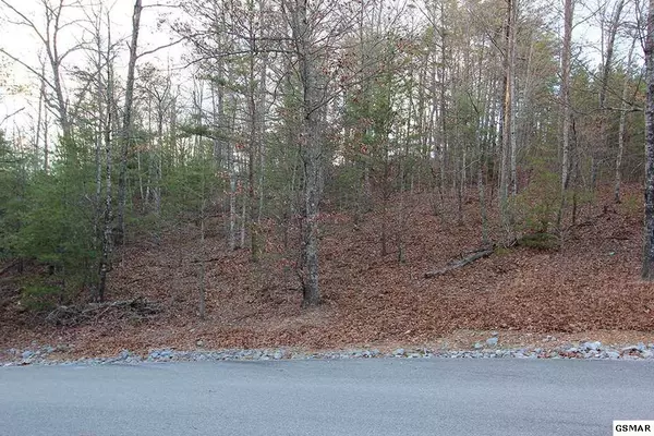 Sevierville, TN 37862,Lot 57E Harvest Moon RD