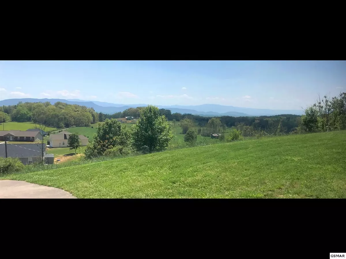 White Pine, TN 37890,Lot 32 English Meadows DR