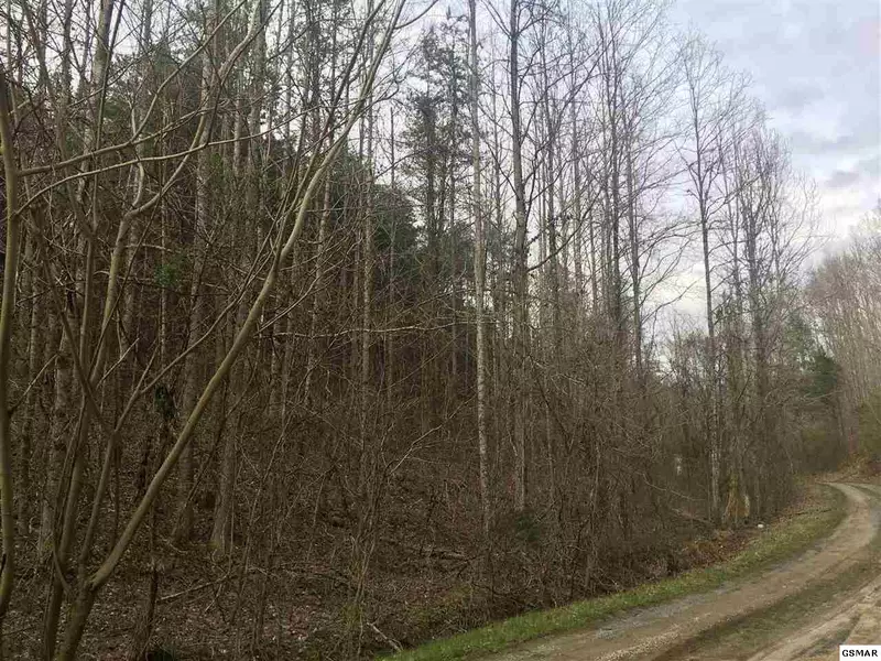 Lot 12 Cody View WAY, Sevierville, TN 37876