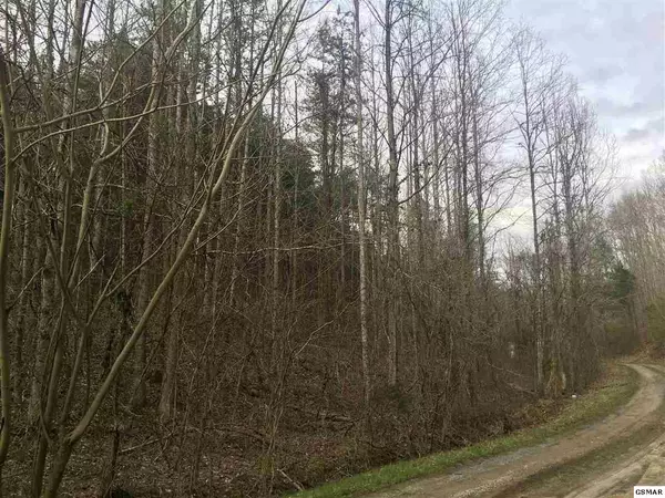 Lot 12 Cody View WAY,  Sevierville,  TN 37876