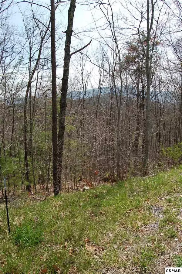 Sevierville, TN 37862,Lot 18 B1 Chamberlain LN