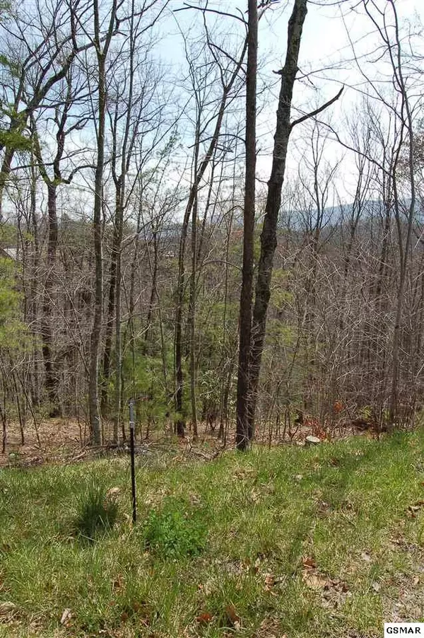 Sevierville, TN 37862,Lot 18 B1 Chamberlain LN