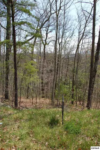 Lot 18 B1 Chamberlain LN, Sevierville, TN 37862