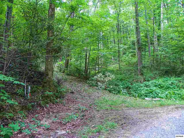 Sevierville, TN 37862,Lot# 8 Brooke Hollow LN