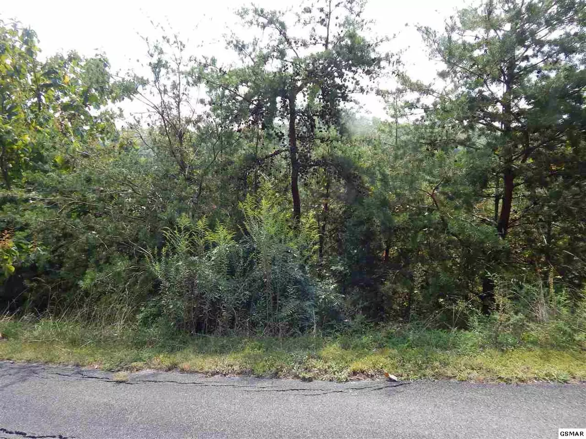 Sevierville, TN 37862,Lot 176E Jones Creek LN