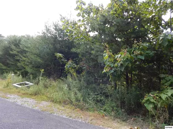 Sevierville, TN 37862,Lot 176E Jones Creek LN