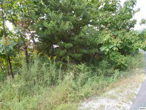 Sevierville, TN 37862,Lot 176E Jones Creek LN