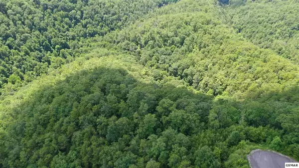 Sevierville, TN 37862,Lot 142E Settlers View LN