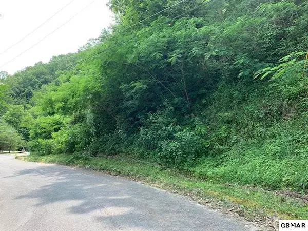 Sevierville, TN 37862,Lot 8 Pulaski LN