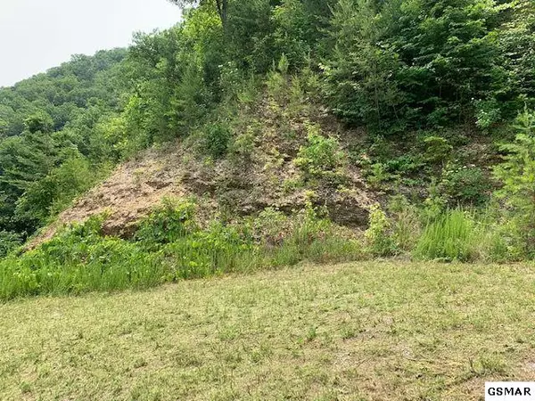 Sevierville, TN 37862,Lot 8 Pulaski LN