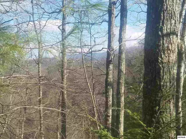 Sevierville, TN 37862,Lot 79 Whetstone RD