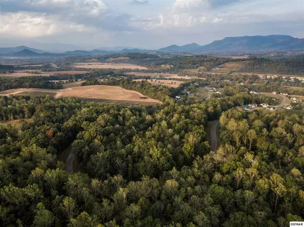 Newport, TN 37821,Lot 11 Meadowood RD