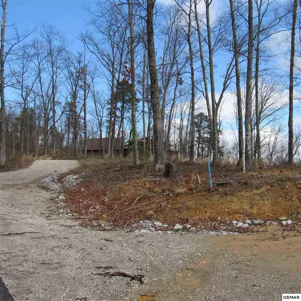 Sevierville, TN 37876,Lot 189 Smoky Bluff TRL