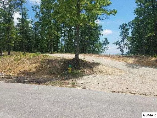 Sevierville, TN 37876,Lot 189 Smoky Bluff TRL