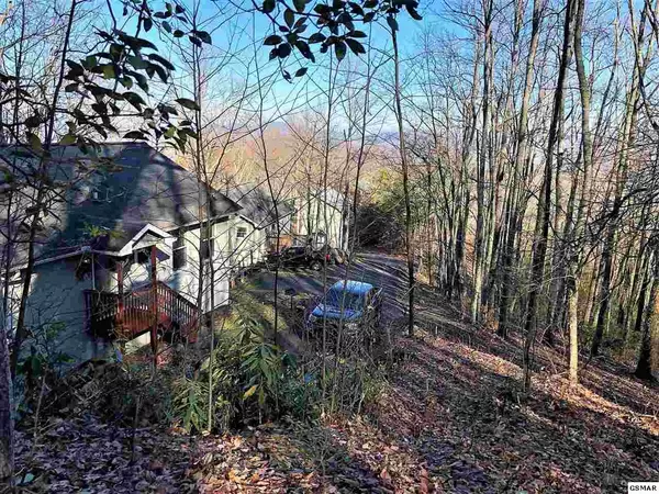 Gatlinburg, TN 37738,St. Moritz DR