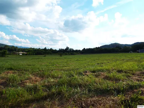 Cosby, TN 37722,Lot 6 Padgett Mill RD