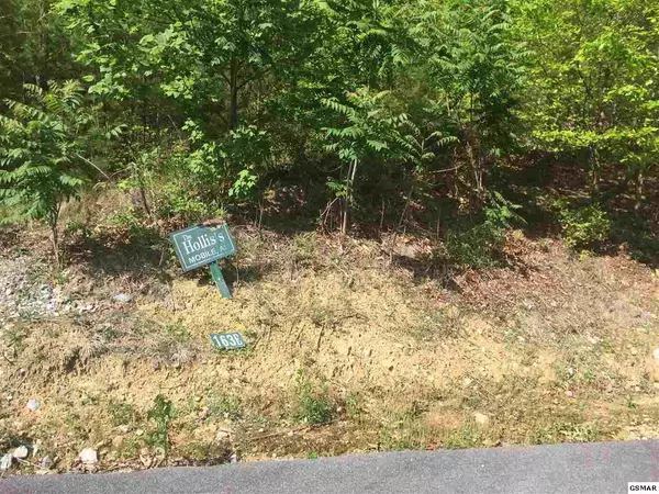 Sevierville, TN 37862,Lot 163E Harmony Hill LN