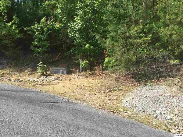 Sevierville, TN 37862,Lot 163E Harmony Hill LN