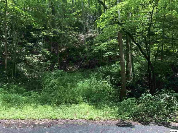 Sevierville, TN 37876,Lot 34 Mountain BLVD