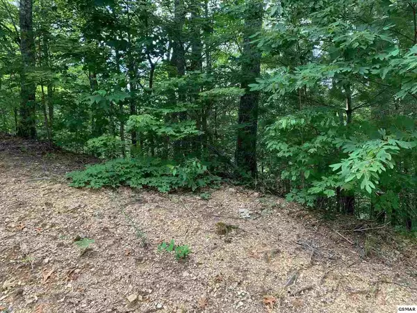 Sevierville, TN 37862,LOT 91 BIRD VIEW LN