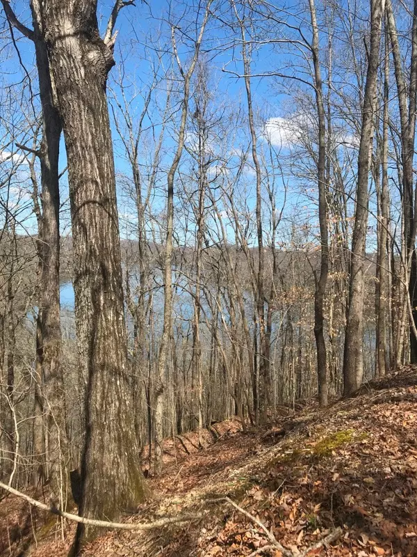 Smithville, TN 37166,Marsh RD