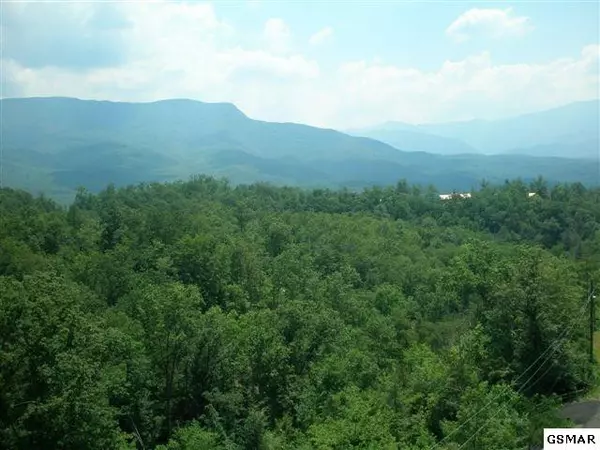 Gatlinburg, TN 37738,Lot 69 Big Bear Ridge RD