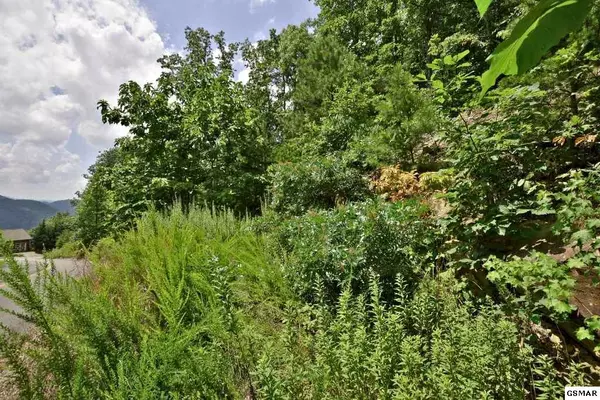 Sevierville, TN 37862,Lot 120E Settlers View LN