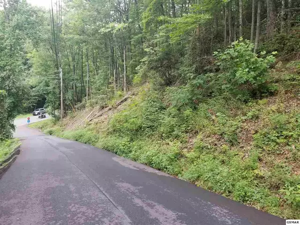 Gatlinburg, TN 37738,lot1 Upper Alpine WAY