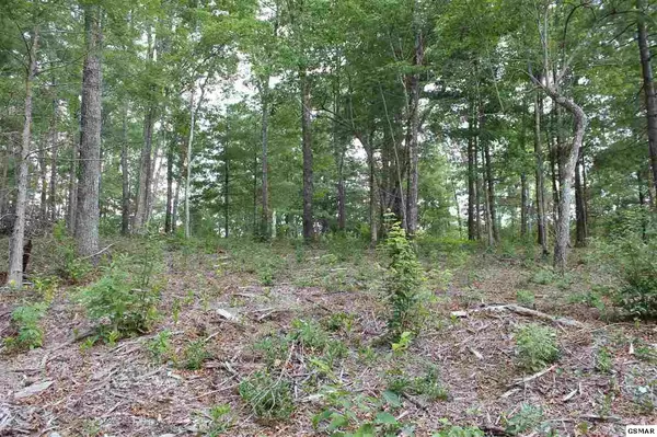 Sevierville, TN 37876,Lot 4 Mountain Ash WAY