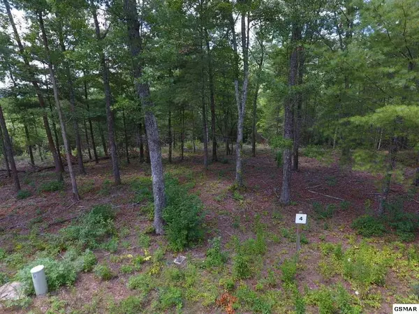 Lot 4 Mountain Ash WAY, Sevierville, TN 37876