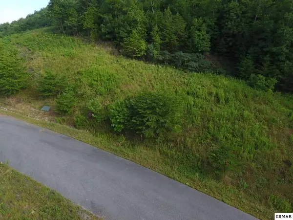 Sevierville, TN 37876,Lot 57 Mountain Ash WAY