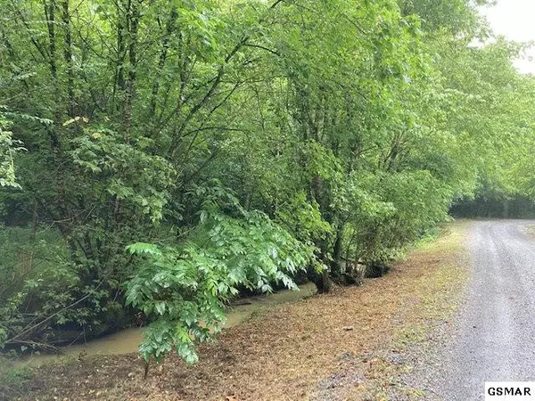 Bybee, TN 37713,12+/- acres Bear Creek RD