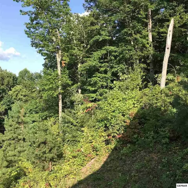 Gatlinburg, TN 37738,Lot #30 Baden DR