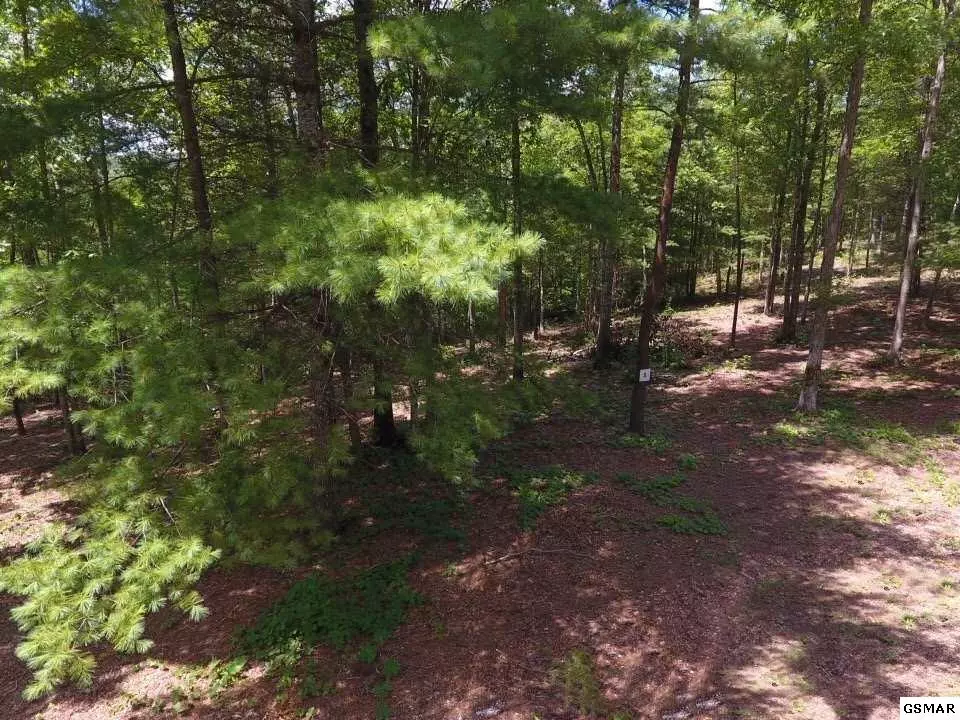 Sevierville, TN 37876,Lot #5 Mountain Ash WAY