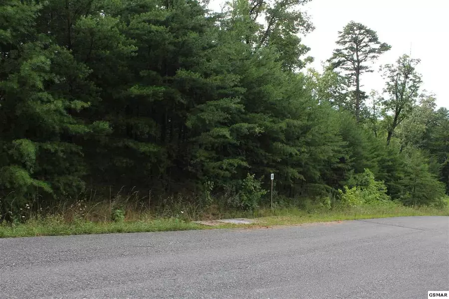 Lot #52 Mountain Ash WAY, Sevierville, TN 37876