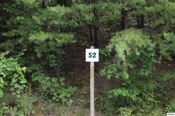 Sevierville, TN 37876,Lot #52 Mountain Ash WAY