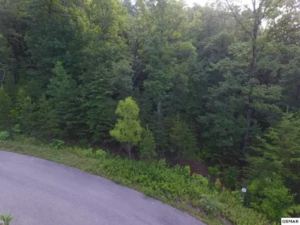 Sevierville, TN 37876,Lot #55 Mountain Ash WAY