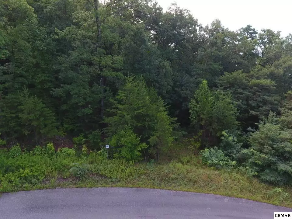 Sevierville, TN 37876,Lot #55 Mountain Ash WAY