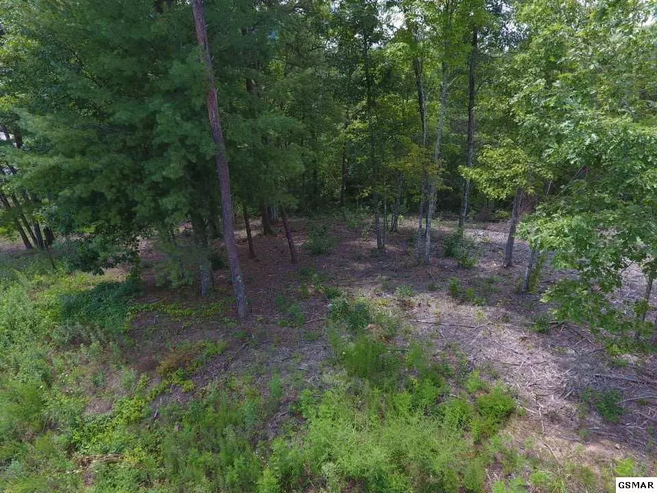 Sevierville, TN 37876,Lot #10 Mountain Ash WAY