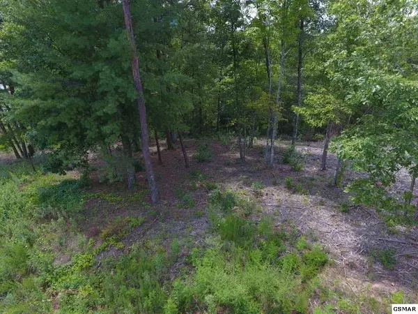 Lot #10 Mountain Ash WAY, Sevierville, TN 37876