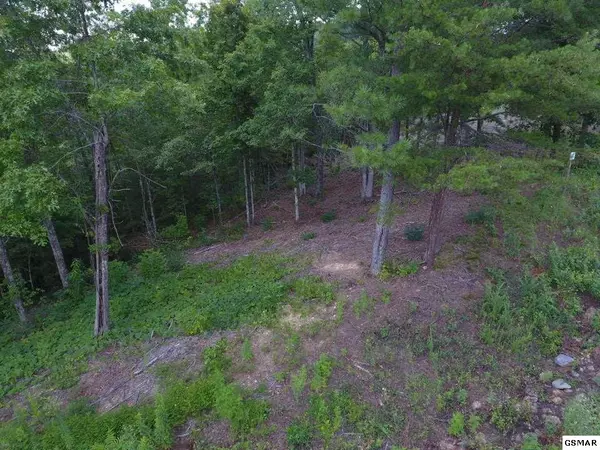 Sevierville, TN 37876,Lot #10 Mountain Ash WAY