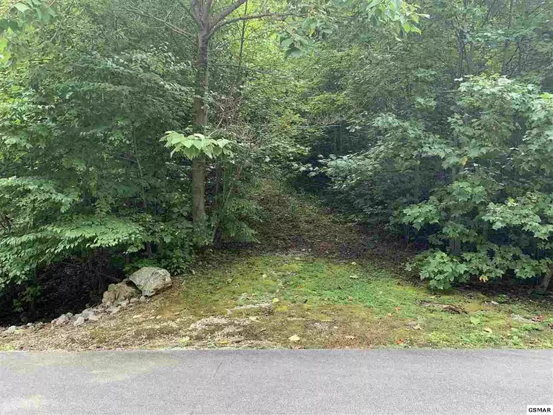 LOT 120 Long Rifle RD, Sevierville, TN 37862