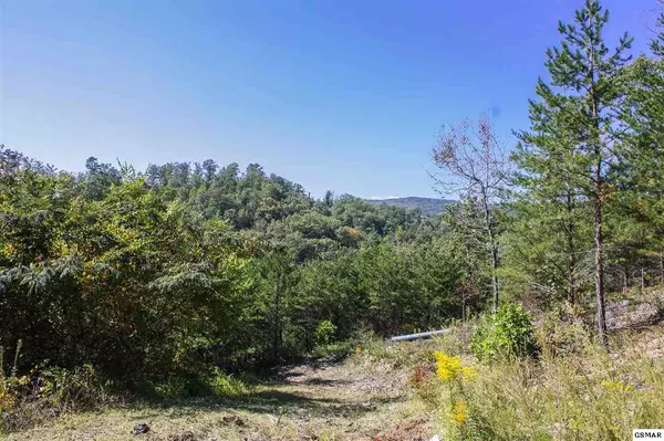 Sevierville, TN 37862,LOT 12 Summit Trails DR