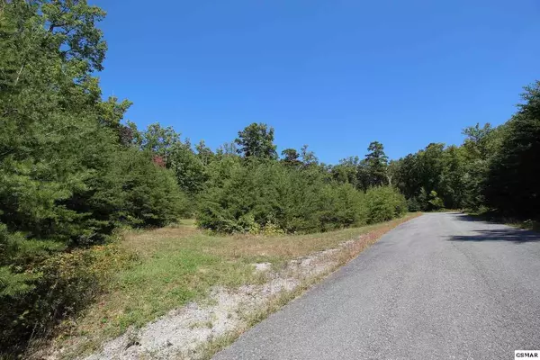 Sevierville, TN 37876,Lot #53 Mountain Ash WAY