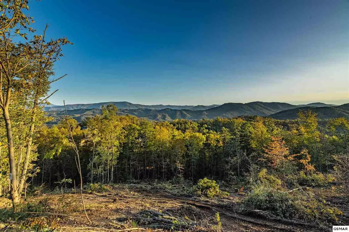 Sevierville, TN 37862,Lot 179 Smoky Bluff TRL