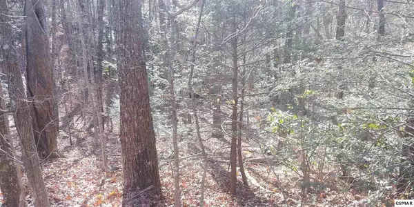 Gatlinburg, TN 37738,Lot 13 Deer Path LN