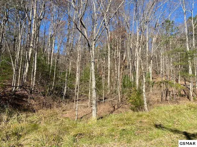 Lot 56 Wintergreen DR, Sevierville, TN 37876