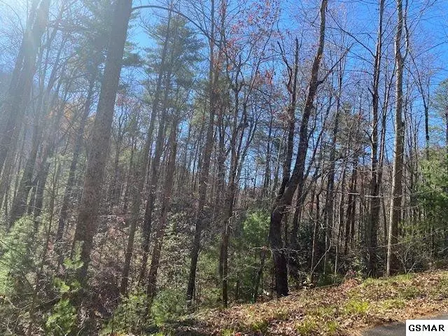 Lot 52 Wintergreen DR, Sevierville, TN 37876